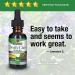 Nature's Answer Devil's Claw Extract - Alcohol-Free 370 mg, 1 fl oz | Natural Pain Relief - Buy Online on GoSupps.com