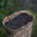 Th Noir Vieil Arbre Th Ya An Th chinois fait la main Brick 500g/panier - Buy Online on GoSupps.com
