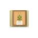 Buy Forest Essentials Luxury Sugar Soap Sandalwood & Turmeric - 125g | Best Natural Skincare for Glowing Skin - International Shipping Available - Buy Online on GoSupps.com