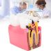 Buy Caries Comparison Study Models | Dental Anatomy Teeth Models for Dentist Education - International Shipping - Buy Online on GoSupps.com