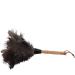 Feather Dust Solid Wood Handle Handheld Dust Brush Cleaner for Housework - Buy Online on GoSupps.com
