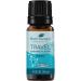 Plant Therapy Travel Essential Oil Blend 10 mL (1/3 oz) 100% Pure Undiluted Natural Aromatherapy Therapeutic