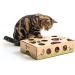 Cat Amazing Classic Puzzle Feeder Toy | Interactive Enrichment for Indoor Cats | Treat Box & Food Maze | Best Cat Toy - Buy Online on GoSupps.com