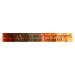 Tonnino Jalapeno Olive Oil Tuna Fillets - 6 Pack | Gourmet 6.7 Oz Cans - Buy Online on GoSupps.com