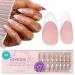 Beetles Pre-French Tips Gel Nail Tips - 150Pcs in 15 Sizes | Nude Pink Medium Almond Press-On Nails with Primer & Base Coat | No Filing Needed for DIY Nail Art - Buy Online on GoSupps.com