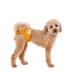 Lill's fuse pants for bitches with flexible closure washable organic cotton extra absorbent no extra insoles necessary from XS to XXL (S/M: 39-50 cm waist circumference amber (yellow)) S/M: 39-50 cmWaist size amber (yellow)