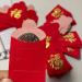 25pcs Red Envelope Chinese New Year Hong Bao Lucky Red Packet Spring Festival Hong Bao Lucky New Year Red Envelopes Gifts - Buy Online on GoSupps.com