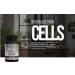 Dr. Greenic 99% Pure NAD+ Supplement for Anti Aging Cell Regenrate & Boost 300mg - One Capsule Serving - 90 Caps NAD with (Eurofins Scientific - COA Purity HPLC - 99.90%) NMN Alternative - Buy Online on GoSupps.com