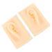 Baluue 1 Pair Ear Model Ear Display Model Ear acupoint Learning Tool Ear Cleaning Practice Tools Artificial Display Sample Hearing-aid Display Props Ear Mold earplugs Simulator