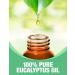 Ethereal Nature 100% Pure Eucalyptus Oil - Aromatherapy Skin & Hair Care - Beauty DIY - 4 FL OZ - Buy Online on GoSupps.com