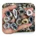 Natural Crystal Rough Natural Small Rough Stone raw Crystal Agate geode 10pc
