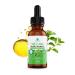 Dr. Robaina Organic Oil of Oregano Drops 87% Carvacrol Wild Greek Oregano (Hirtum) Cold-Pressed in EVOO 432 Servings Immune & Digestive Support Alcohol-Free Vegan Non-GMO 1 Unit
