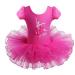 BAOHULU Leotard for Girls Ballet Dance Short Sleeve Full Tulle Tutu Skirted Dress Ballerina Costumes Hotpink Flower 5-6 Years