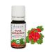 Organic Geranium Rose Essential Oil 100% Pure Undiluted Pelargonium roseum Therapeutic Grade Premium Quality Aromatherapy Oil Tested & Verified 10ML 0.34 Fl Oz (Pack of 1)