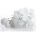 Anniup White Rose Hairpins Bridal Jewelry Wedding Hair Accessories for Women & Girls | 10 Piece Set - Buy Online on GoSupps.com