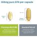 Pharmepa Restore Pure EPA Fish Oil - 1000mg EPA Omega-3, 1-Month Supply, 60 Softgels (Pack of 10) - Buy Online on GoSupps.com