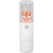 Qukaim Handheld Facial Sprayer Nano Mist Sprayer Cute Tiger Handheld Portable Facial Hydrating Sprayer for Outdoor Travel White - Buy Online on GoSupps.com