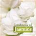 Lux Velvet Touch Jasmine & Almond Oil Soap Bar 3x150g - Luxurious Hydration and Nourishment - Buy Online on GoSupps.com