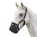 Shires Deluxe Comfort Grazing Muzzle Black Cob