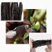 10 Madagascar Bourbon Vanilla Pods 14-16 cm Gourmet Quality for Patisserie and Cooking - Buy Online on GoSupps.com