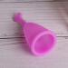2 pieces silicone menstrual cup women female menstruation healthcare female leakage -free safety hygiene cup menstruation accessories reusable (#1)