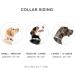 Whistle GO/GO Explore/Twist & Go Pet Collar M - Neck 16-20, Strap width 1, See Me Green - Buy Online on GoSupps.com