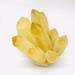 Natural Crystal Rough 1PC Natural Yellow Phantom Ghost Quartz Crystal Cluster Stone Specimen 400G-1050G Suitable for Furniture Decoration Home Goods (Color : 1pc 400g-500g) - Buy Online on GoSupps.com