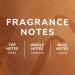 Koec Vanilla Coconut Perfume Coconut Vanilla Perfume Vanilla Coconut Hair and Body Perfume Spray 50 ml Vanilla Perfume for Women (2pcs) - Buy Online on GoSupps.com