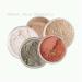 5pc KIT Mineral Makeup Bare Face Set Full Coverage Concealer Blush Foundation Illuminating Powder (Light Tan)