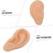 1pc Healvian Silicone Ear Tool - Fake Ear for Practice & Care | Beige Silicone Teaching Model for Ear Supplies - Buy Online on GoSupps.com