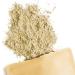 Terra Elements Organic Hericium Powder 100g I Hydne Herisson I 100% Pure I Vegan I Raw Quality - Buy Online on GoSupps.com