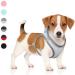 Buy Heele Adjustable Dog Harness for Small & Medium Dogs - Soft Mesh Reflective Breathable - Perfect for Comfortable Walks - 1 Pack (Gray) - Buy Online on GoSupps.com