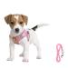 Femax dog harness with leash for small medium dog cats soft mesh puppy dishes Breathable breast tears adjustable reflective no pull vest chihuahua cat m (breast 35-40cm) pink