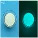 Luminous Powder Pigment Phosphor Powder DIY Nail Polish 500g/lot Glowing Noctilucent Powder Paint Powder 13 Colors for Choose - (Color: NO 2) - Buy Online on GoSupps.com