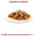 Royal Canin Medium Adult in Gravy Wet Food (10 x 140g Pouches) - Buy Online on GoSupps.com