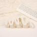 Limtula Candy Color Curved Shape Hair Claw for Girls High Ponytail Anti-Slip Hair Clutcher for Teens Taking Photo Hair Pins Lacquer cream yellow - Buy Online on GoSupps.com