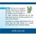 Earth's Care Tea Tree Oil Balm 0.12 oz - Natural Healing & Skin Relief - Buy Online on GoSupps.com