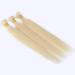 SeraphicWig Blonde Brazilian Human Hair Weft - Silky Straight 14 Bundle (100g) for Women - Color 613 - Buy Online on GoSupps.com