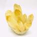 1pc 700g-1000g Natural Crystal Stone Cluster Yellow Phantom Quartz Crystal Cluster Image Ornaments for Gifts Ornaments Natural Luster - Buy Online on GoSupps.com