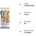 Clairol Root Touch-Up Permanent Hair Dye 9 Light Blonde - 1 Count - Buy Online on GoSupps.com