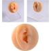 AMLESO Human Body Part Model Practical Soft Feelings Silicone Modeling Texture for Piercing Exercises Medical Home Demonstration Tool - Left Ear 7cm - Buy Online on GoSupps.com