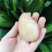 Natural Orange Moonstone Sunstone Love Play with ore Can be Used for (Size : 130-160g) HOMEZHOU (Size : 90-120g) - Buy Online on GoSupps.com