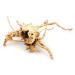 Aqua One Azalea Root Aquarium Decoration 20-30 cm 20 - 30 cm