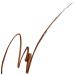 Clio Kill Brown Waterproof Brush Liner - Long-lasting Precision (0.01 fl oz) - Buy Online on GoSupps.com