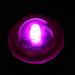 LED Dog Light Pendant - Pink Safety Keychain & Trailer Warning Light for Camping & Hiking - Buy Online on GoSupps.com