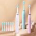 Ultrasound Electric Toothbrush - 180-Day Brush Heads 5 Modes 2-Minute Timer - Rose Color for Adults | International Shipping - Buy Online on GoSupps.com