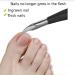 Fingernail Clippers Nail Clippers Scissors Set 3pcs Pedicure Olecranon Pliers Dead Skin Nail Pedicure Care Tools Manicure Grooming Kits Nail Clipper for Men (Color : Black) - Buy Online on GoSupps.com