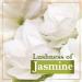 LUX Velvet Glow Jasmine & Vitamin E Soap Mega Pack - Glowing Skin Beauty Bar 3 X 100g | International Shipping - Buy Online on GoSupps.com