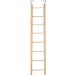 Nobby Wooden ladder 8 rungs 34 x 7 cm - Buy Online on GoSupps.com