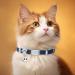 Personalized Navy Blue Cat Collar with Name & Phone Number | Engraved with Bell | International Shipping Available - Buy Online on GoSupps.com